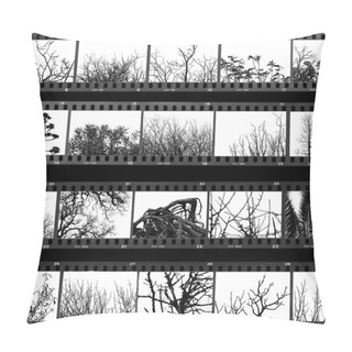 Personality  Trees And Plants Film Proof Sheet Pillow Covers