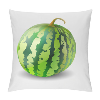 Personality  Vector Illustration Of A Watermelon. Pillow Covers