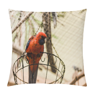 Personality  Red Parrot Sitting On Metallic Cage In Zoo Pillow Covers