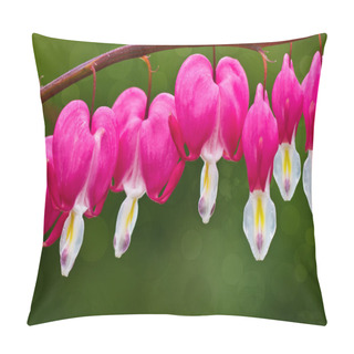 Personality  Bleeding Hearts Pillow Covers