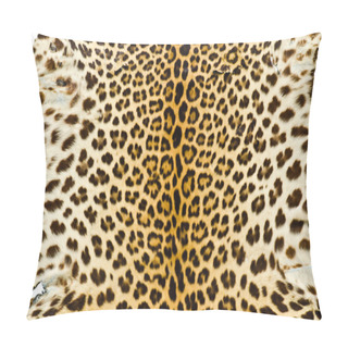 Personality  Closeup Real Tiger Fur Pillow Covers