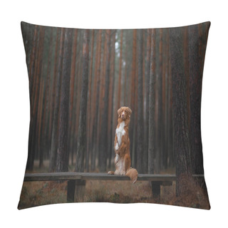 Personality  Dog In The Forest. Retriever For A Walk In Nature. Redhead Pet Pillow Covers