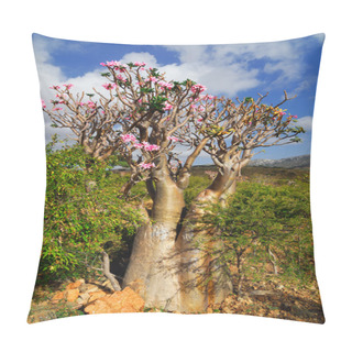 Personality  Desert Rose - Adenium Obesum Pillow Covers