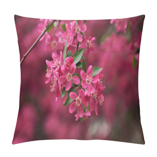 Personality  Close-up View Of Beautiful Bright Pink Almond Flowers On Branch, Selective Focus  Pillow Covers