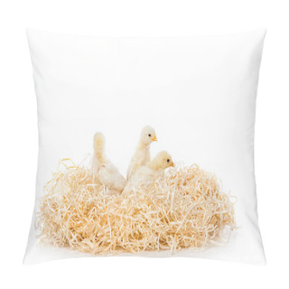 Personality  Three Adorable Little Chicks On Nest Isolated On White Pillow Covers
