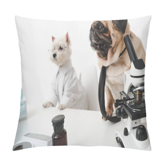 Personality  Dogs Scientists In Lab Pillow Covers