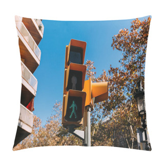 Personality  Traffic Light With Green Signal, House And Trees On Background Pillow Covers