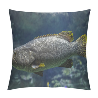 Personality  Giant Spotted Grouper Fish Pillow Covers