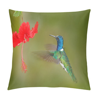 Personality  Hummingbird With Red Flower Pillow Covers
