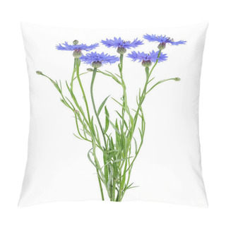 Personality  Bouquet Of Blue Cornflowers Over White Background Pillow Covers