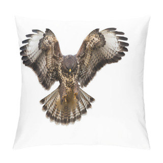 Personality  Front View Of Bird Of Prey Landing Isolated On White Background Pillow Covers