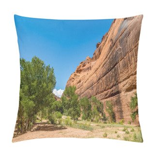 Personality  Canyon De Chelly National Monument Pillow Covers