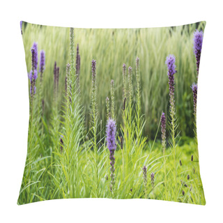 Personality  Selective Focus Of Blooming Purple Lupines In Green Grass  Pillow Covers