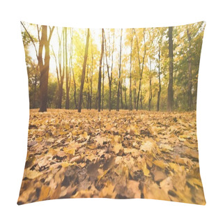 Personality  Fallen Leaves In Autumn Forest Pillow Covers