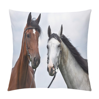 Personality  Two Horses, White And Chesnut Pillow Covers
