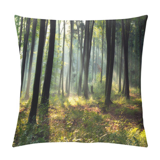 Personality  Beautiful Sunny Morning In Magic Forest Pillow Covers