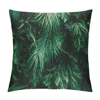 Personality  Tropical Leaves As Nature And Environmental Background, Botanical Garden And Floral Backdrop, Plant Growth And Landscape Design Pillow Covers