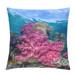 Personality  Soft Coral Colonies Grow On Reef Pillow Covers