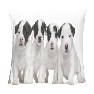 Personality  Jack Russell Terrier Puppies, 5 Weeks Old, In Front Of White Background Pillow Covers