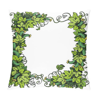 Personality  Cucumber Vine. Vector Drawing Pillow Covers
