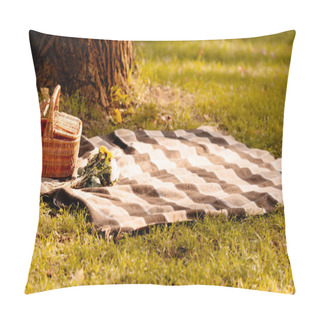 Personality  Picnic Blanket And Basket Pillow Covers