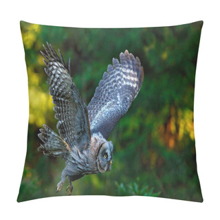 Personality  Flying Great Grey Owl Pillow Covers