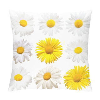 Personality  Collection Of Creative Daisies Flowers Isolated On White Background. Flat Lay, Top View. Floral Pattern, Object Pillow Covers