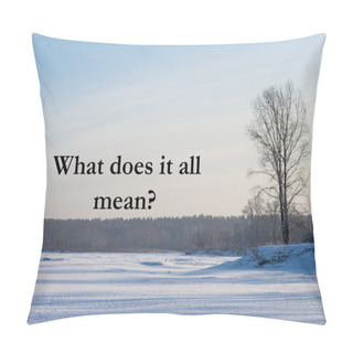 Personality  What Is The Meaning Of Life Pillow Covers