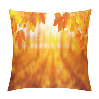 Personality   Autumn Leaves On The Sun And Blurred Trees . Fall Background. Pillow Covers