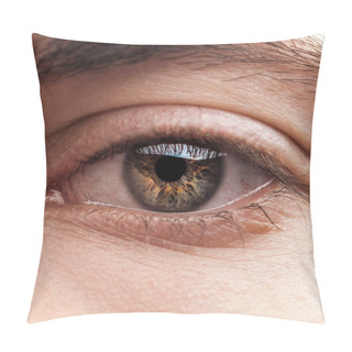 Personality  Close Up View Of Human Colorful Eye With Eyelashes Pillow Covers