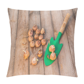 Personality  Gladiolus Bulbs And Garden Shovel Pillow Covers