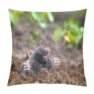 Personality  Mole In Ground Pillow Covers