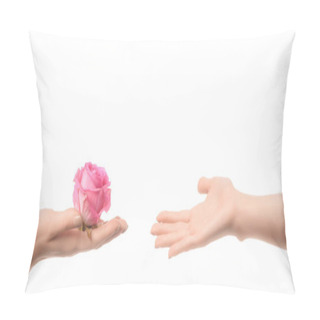 Personality  Partial View Of Woman Handing Pink Rose Flower To Someone Isolated On White  Pillow Covers