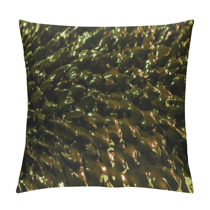 Personality  Ferrofluid Background Elements Pillow Covers