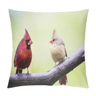 Personality  Male And Female Cardinal Love Birds Pillow Covers