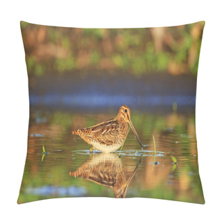 Personality  Snipe And Reflection In Water Pillow Covers