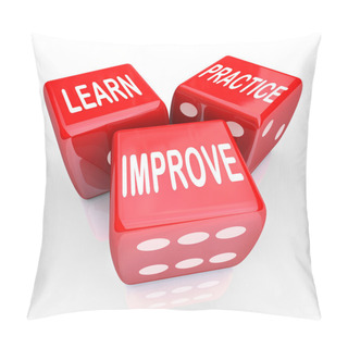 Personality  Learn Practice Improve Words 3 Red Dice Pillow Covers