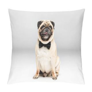 Personality  Pug Dog In Bow Tie Pillow Covers