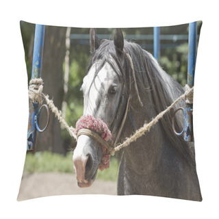 Personality  Portrait Of A Tired Horse. Pillow Covers