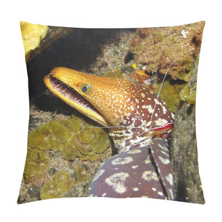 Personality  Tiger Moray Pillow Covers