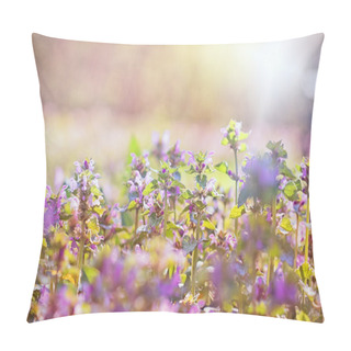 Personality  Flowering Purple Meadow Flowers In Spring Pillow Covers