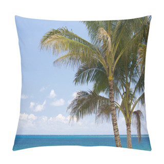 Personality  Palm Trees And Tropical Waters Pillow Covers