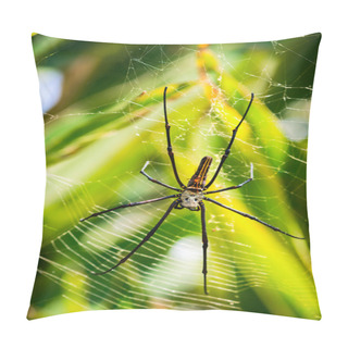 Personality  Female Golden Web Spider (Nephila Pilipes), Bali, Indonesia. Pillow Covers