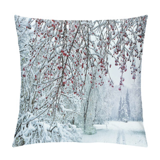 Personality  Beautiful Winter Landscape - Snowfall In The City Park Pillow Covers
