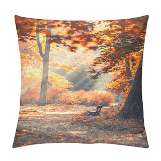 Personality  Autumn City Park With Sunbeams Pillow Covers