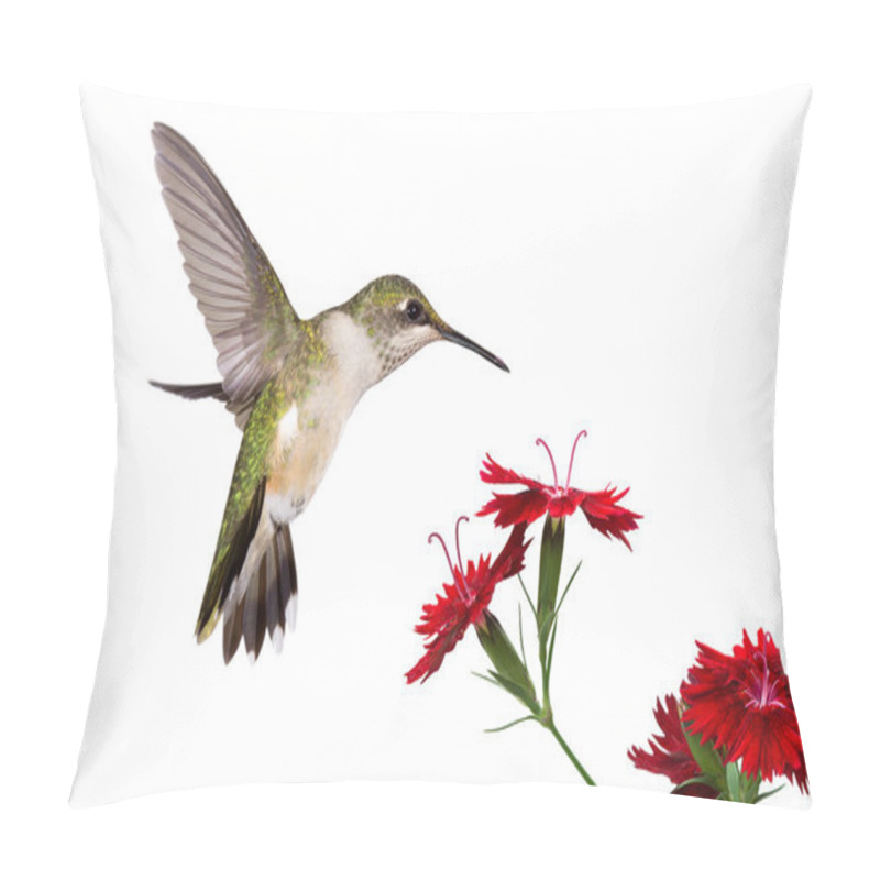 Personality  Hummingbird And Three Dianthus Pillow Covers
