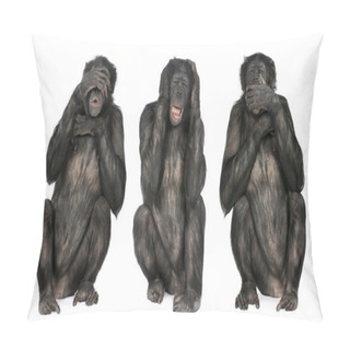 Personality  Three Wise Monkeys : Chimpanzee - Simia Troglodytes (20 Years Ol Pillow Covers