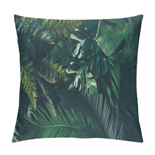 Personality  Creative Nature Background. Green Tropical Palm Leaves. Minimal Summer Abstract Jungle Or Forest Composition. Contemporary Style. Pillow Covers