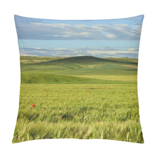 Personality  Between Apulia And Basilicata.Hilly Landscape With Cornfields.ITALY Pillow Covers
