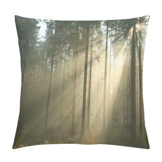 Personality  Autumn Forest At Dawn Pillow Covers